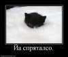 0a0b4ed47e802e993e2a8fb77626d3ea.jpeg
