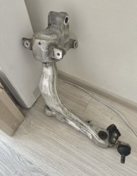 IMG_6366.jpeg